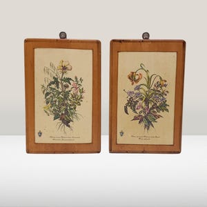 Peut inclure: Deux gravures botaniques encadrées. Chaque gravure présente une illustration détaillée de diverses fleurs et plantes aux couleurs vives. Les cadres sont en bois et ont une finition foncée. Un petit bouton en métal est en haut de chaque cadre.