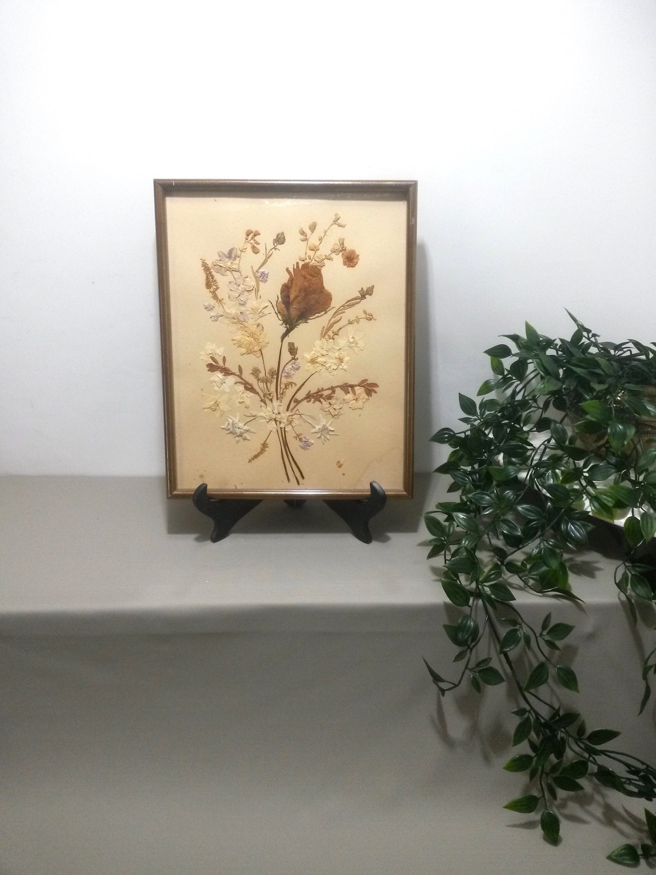 Art Des Fleurs Séchées Encadrées - Art Du Coquelicot Fleurs de Pavot Coquelicots Encadrés Séchés Flo