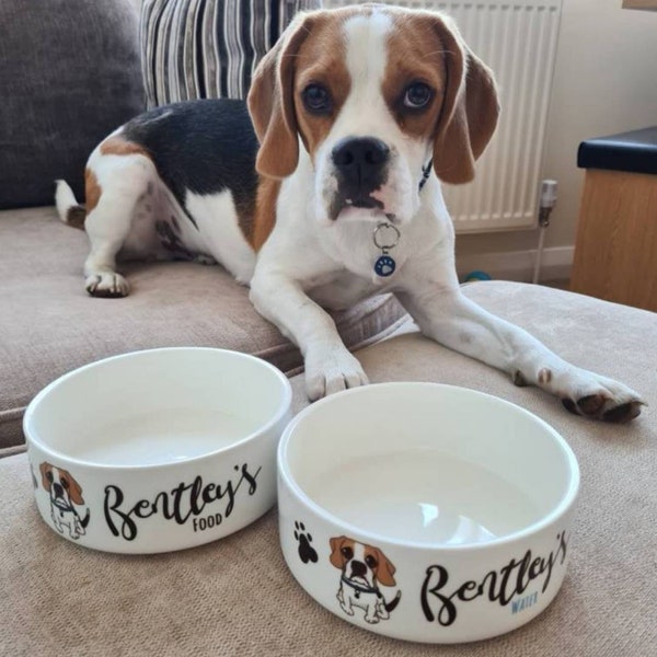 Ceramic Caricature Dog Food Bowl - Personalised Dog Bowl