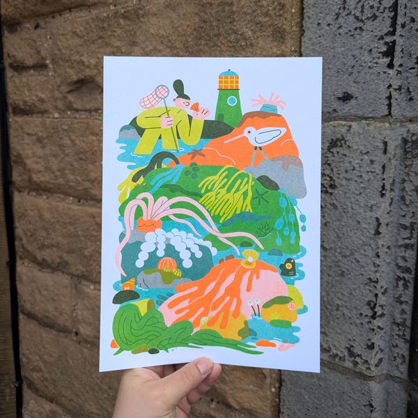 Rockpool - A4 Risograph Print, Sea, Birds, Lighthouse