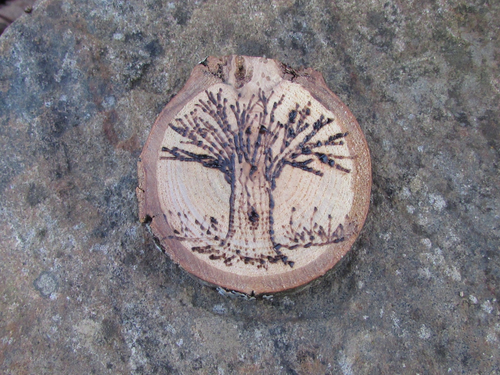Tree Rustic Tree Wooden Wood Slice Etsy