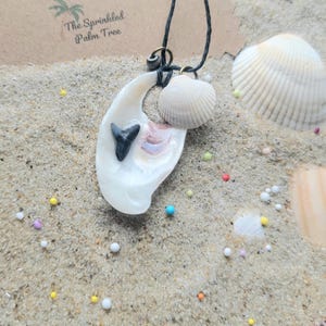 Seashell and Shark Tooth Necklace Handmade Beach Shell Jewelry Ocean Surfer Style Unique Gift Sea Shell