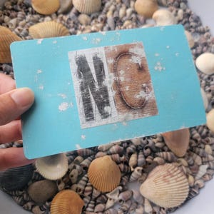 May include: A light blue wooden sign with the letters "NC" in a distressed style. The sign is held over a bed of seashells, including various shapes and colors, creating a coastal theme.