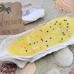 May include: A yellow candle with colorful sprinkles sits in a large seashell. The candle has two wicks and is surrounded by other seashells on a sandy surface. A tag with the text "The Sprinkled Palm Tree" is also present.