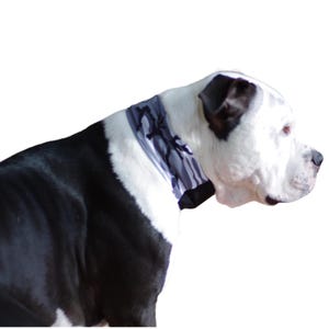 Cooling collars for Dogs