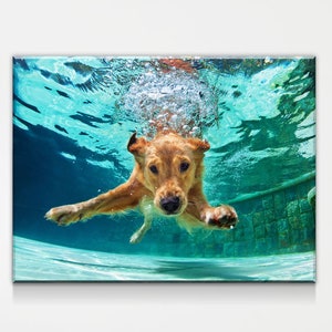Swimmer Dog - Paint by Diamonds