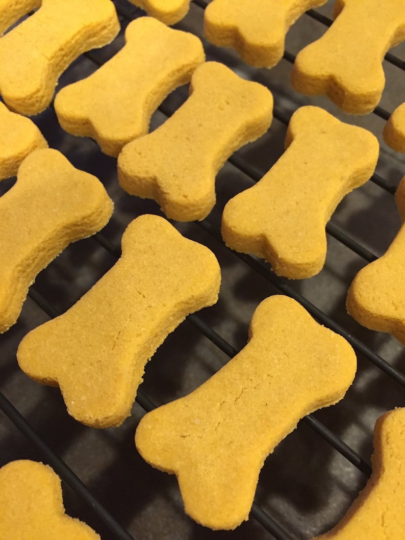 Cheddar Cheese Dog Treat Biscuits Etsy