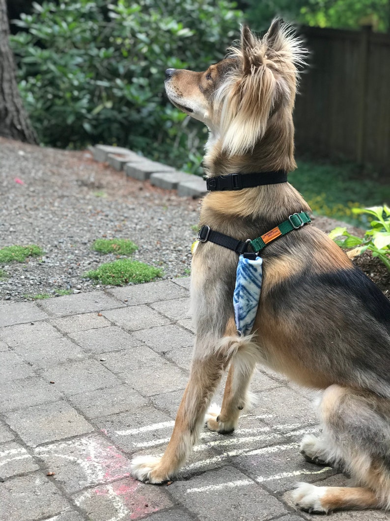 Dog Harness Padding Cover Harness Huggies Soft Fleece Etsy