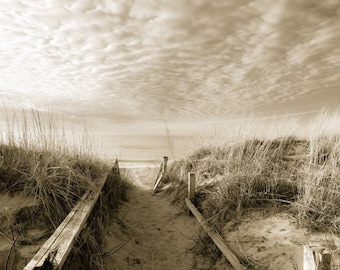 Beach Grass and Dune Path, Lake Michigan Wall Art, Beach Themed Decor, Lake House Beach House Decor, Tall Grass, Nature Theme
