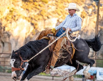 Bucking Bronco Rodeo Photography, Wyoming Photography, Western Wall Art, Horse Lover Gift for Cowboy Cowgirl, Home Decor