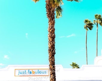 Fabulous Palm Springs, California, Coachella Valley, Southwest Decor, Colorado Desert Wall Art, Western, BOHO Wall Decor,