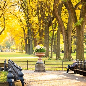 Paseo del Poeta en Central Park, Centro Comercial con Colores Otoñales, Fotografía de Nueva York, Arte Mural de la Ciudad de Nueva York, Regalo para un Escritor, Decoración del Hogar, Me Encanta Nueva York