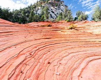 Utah Red Rock Wave II, Zion National Park, Southwest Decor, Utah Wall Art, Utah Decor, Western Aesthetic, Large Wall Art, Farmhouse Decor