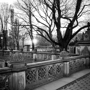 Central Park Sunset, NYC Photography, New York City Wall Art, Manhattan, Modern BOHO Home Decor, I Love New York,