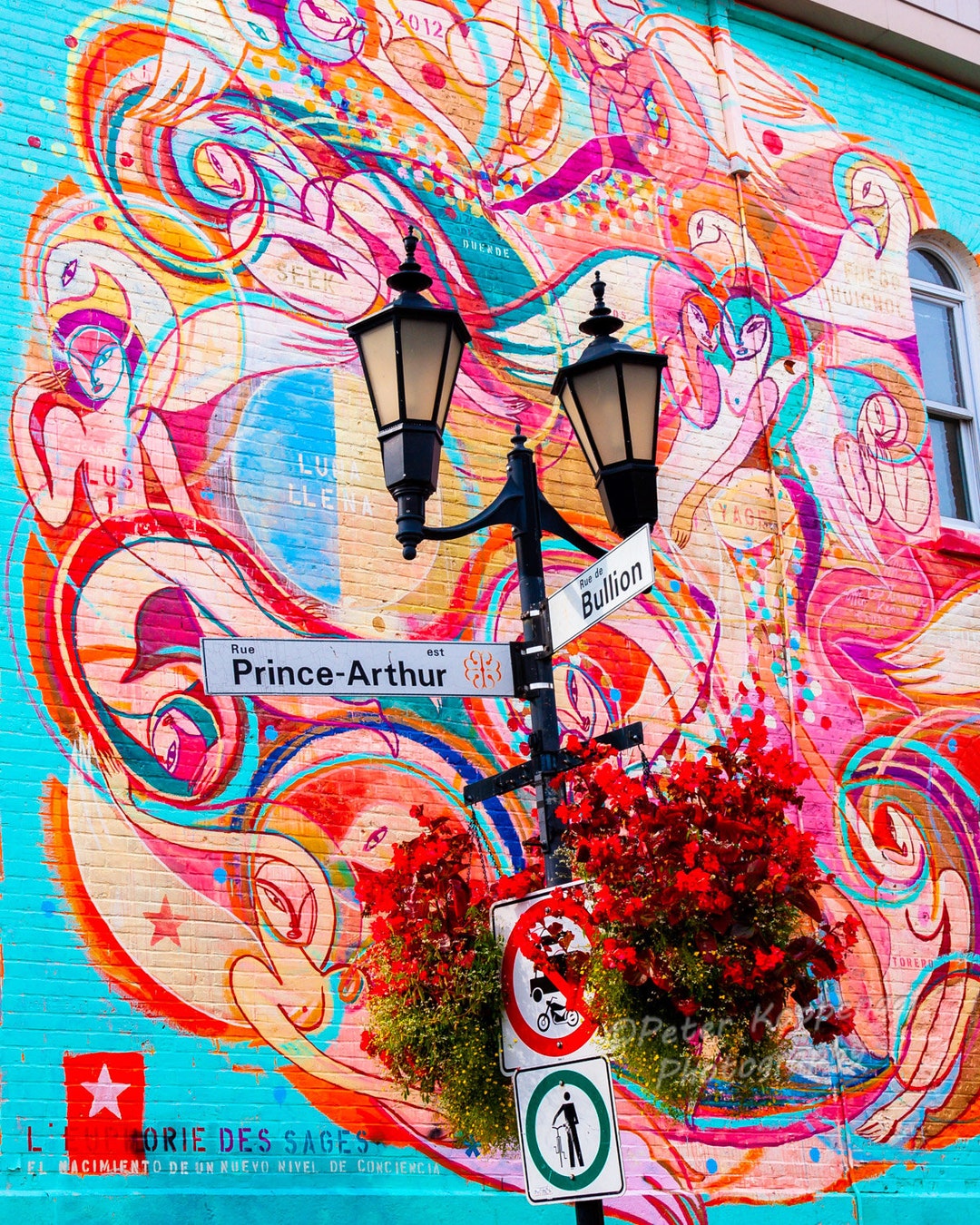 Montreal Street Mural Print Mcgill French Canadian Fine Art Etsy