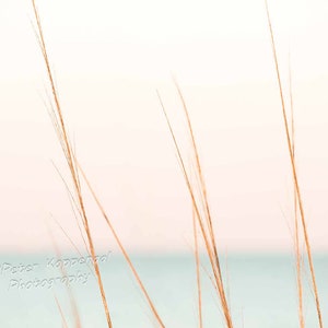 Hierba de dunas de Sanibel Island, decoración del hogar, decoración de playa, arte oceánico, playa de Florida, tropical, decoración costera