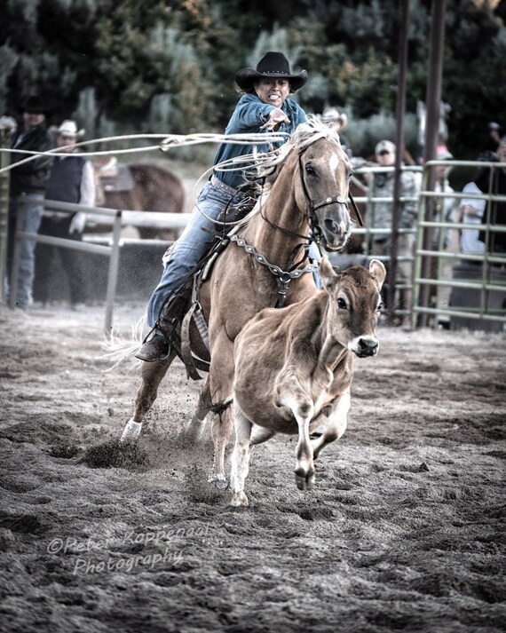 Western Rodeo Cowboy Calf Roping Horse Wall Decor Picture Art Print Poster 16x20