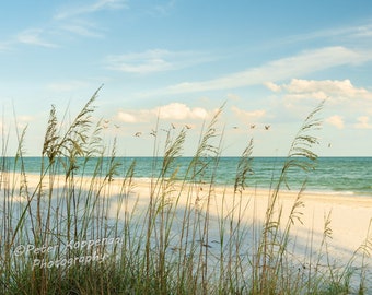 Sanibel Beach Grass, Sanibel Island Art, Florida Wall Art, Beach Decor, Modern Coastal Decor, Dune Grass, Tropical Wall Art, Pelican