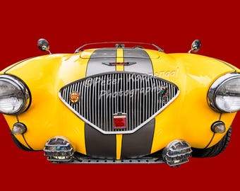 Yellow 1955 Austin-Healey Chrome Grille Print, Classic Sports Car Wall Art