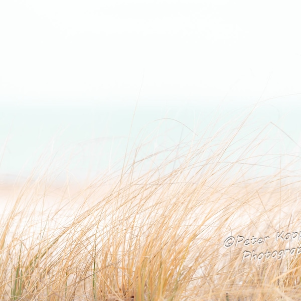 Lake Michigan Dune Grass, Pastel Beach Grass Wall Art, Strand Thema Decor, Beach House Decor, Hoog Gras, Natuur Thema