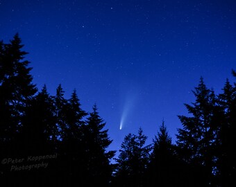 Comet Neowise over Vancouver Island Evergreen Trees, Minimalist Blue Magical Universe, Night Sky Celestial Visitor, Astronomy Lover Gift
