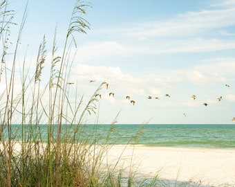 Sanibel Island Print, Dune Grass, Florida Wall Art, Seagull Decor, Beach Decor, Tropical Paradise, Modern Coastal Decor