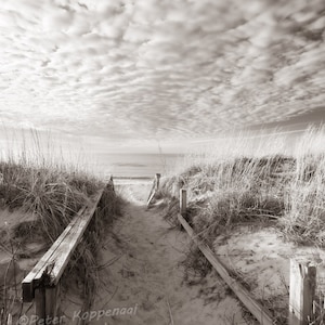 Lake Michigan Wall Decor, Dune Path, Michigan Home Decor, Michigan Decor, Beach Wall Art, Lake House Decor,