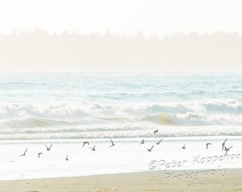 Shore Birds, Beach Themed Decor, Surf, Coastal Decor, Beach Decor, Ocean Art, Ocean Photography, Misty,