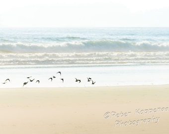 Shore Birds, Beach Themed Decor, Surf, Coastal Decor, Beach Decor, Ocean Art, Ocean Photography, Misty,