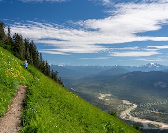 Hiker, Hiking Trail, Cascade Mountains, North Cascades, Pacific Northwest, Woodland Path, Forest, Washington State