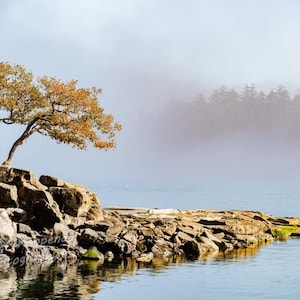 Neblige Insel Strand Fotografie, Pazifische Rand Kunst, Nordwestküste Kunst, Vancouver Island Seascape Print, Ocean Home Wanddekor