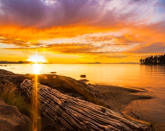 Ocean Driftwood Sunset Print, Fine Art Photography, BOHO Beach House Island Decor Country Kitchen, Rustic Seashore Cabin, Gift for Her Men