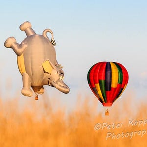 Karta podarunkowa dołączona do WIĘKSZOŚCI przedmiotów z oferty - WSZYSTKIE odbitki fotograficzne