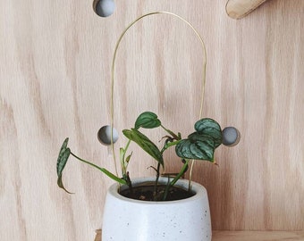 Tiny Trellises in Gold or Silver - Perfect Holiday Stocking Stuffer for Plant Lovers  Gold Wire Stakes | Mini Wire Trellis Stake