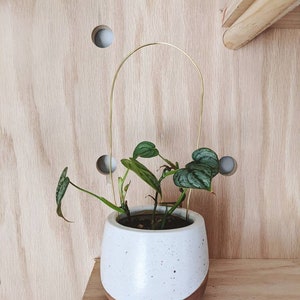 Tiny Trellises in Gold or Silver - Perfect Holiday Stocking Stuffer for Plant Lovers  Gold Wire Stakes | Mini Wire Trellis Stake