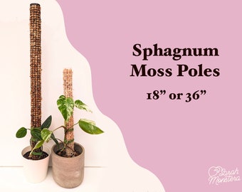 Sphagnum Moss Poles for Climbing Houseplants Moss Totem Plant Support Perfect for Holiday Gift Stocking Stuffer for Plant Lovers