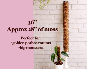 Self-watering Sphagnum Moss Poles Perfect Plant Gift Black or White  Handmade, Durable LECA and Pon Compatible Extensions Available 