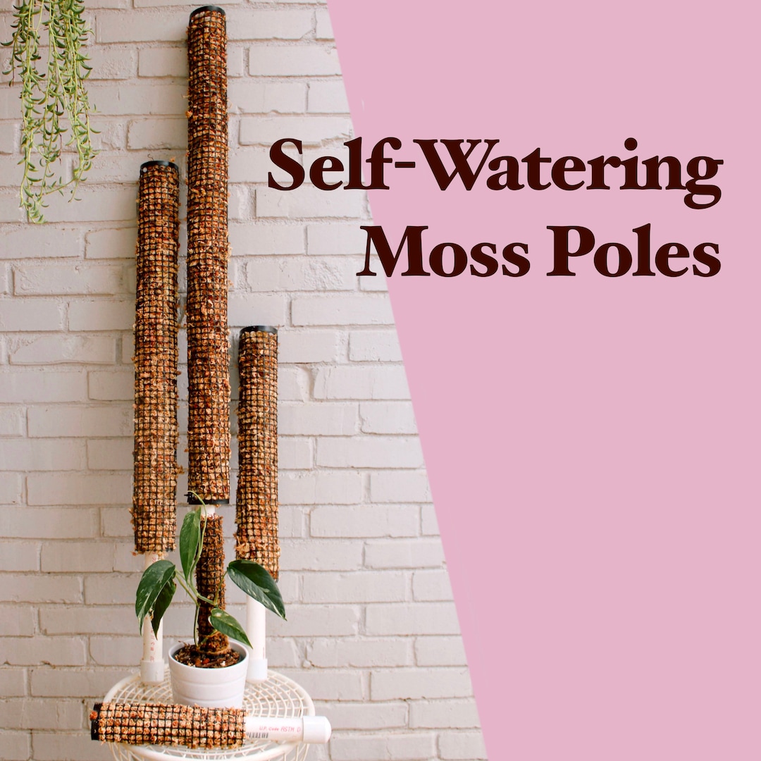 Self Watering Moss Pole with Anti-lean Base -   Self watering plants,  Garden plant pots, Beautiful flowers garden