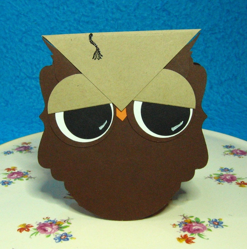 #184 School Congratulations Graduation Wise Owl
