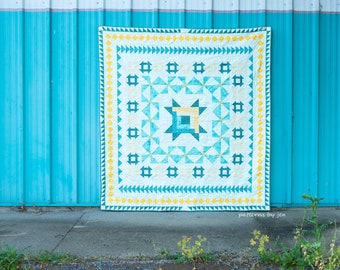 PBJ - 125 The Border Quilt 3