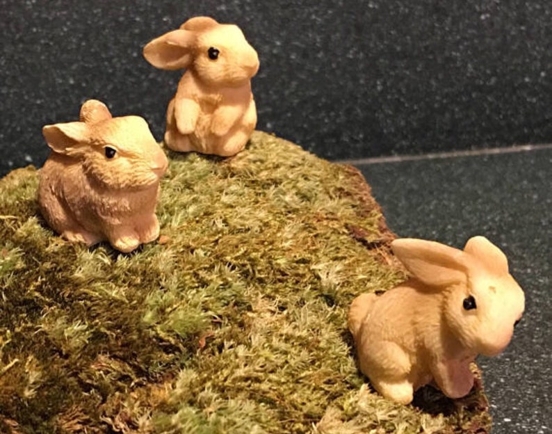 Small Fairy Garden Starter Set