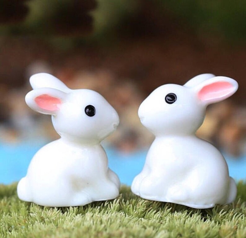 Small Fairy Garden Starter Set
