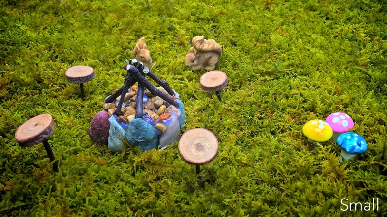 Small Fairy Garden Starter Set