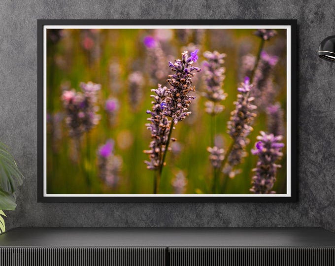 Lavender Dream – Soft Summer Botanical Art - digital download