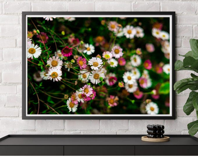 Wild Daisies – Soft Floral Wall Art Macro (Digital Download)
