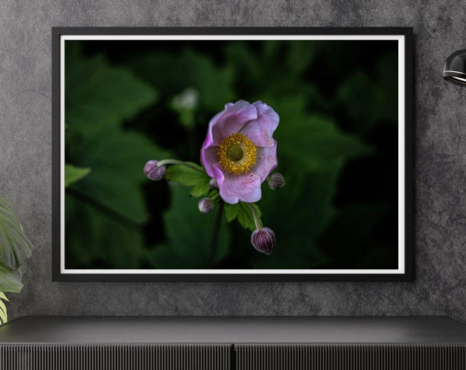 Soft Pink Bloom Macro – Moody Flower Wall Art (Digital Download)