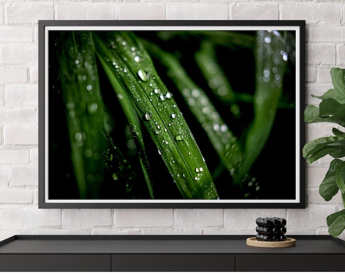 Rain + Green – Dew Drop Macro Nature Art - digital download