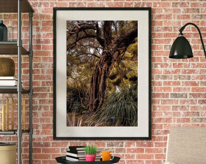 Ancient Tree – Rustic Woodland Wall Art (Digital Download)