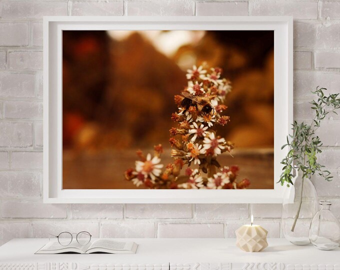 Moody Autumn Bee – Nature Macro Art - Digital Download Print