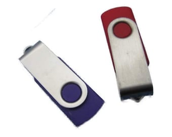 USB Sticks für Bernina Stickmaschinen - 2er Set für 730/200/630/790 Plus Artista Stickmaschinen